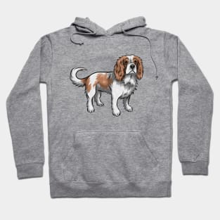 Cavalier King Charles Spaniel Dog | Blenheim Hoodie